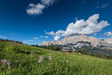 Immagine: Alta Badia